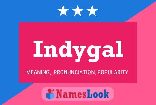 Póster del nombre Indygal