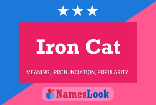 Póster del nombre Iron Cat