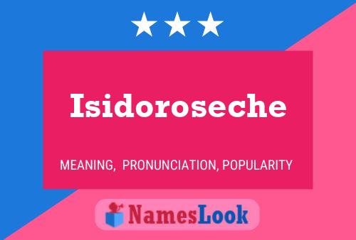 Póster del nombre Isidoroseche