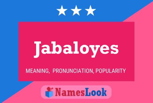 Póster del nombre Jabaloyes