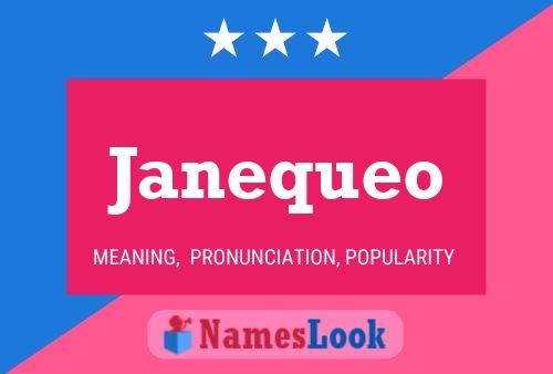 Póster del nombre Janequeo