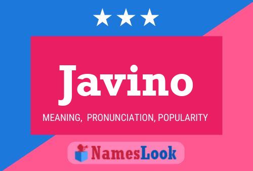 Póster del nombre Javino