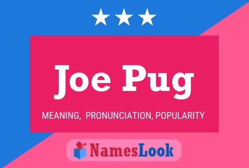 Póster del nombre Joe Pug