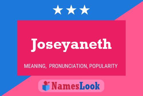 Póster del nombre Joseyaneth