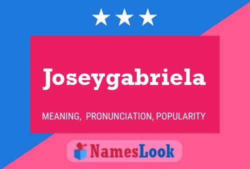 Póster del nombre Joseygabriela