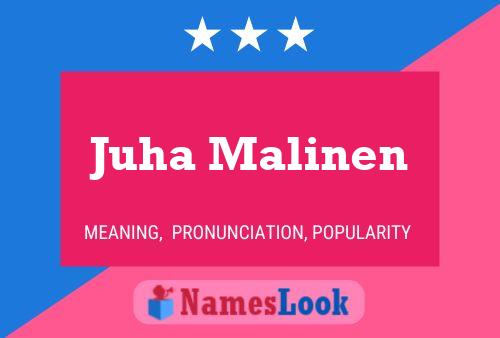 Póster del nombre Juha Malinen