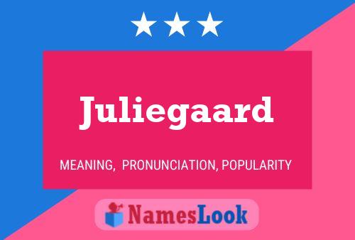 Póster del nombre Juliegaard