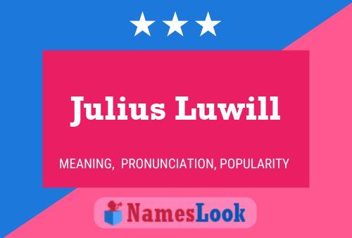 Póster del nombre Julius Luwill