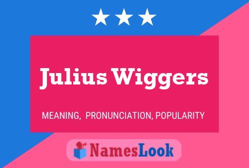 Póster del nombre Julius Wiggers