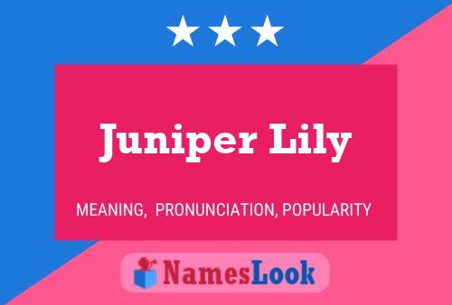 Póster del nombre Juniper Lily