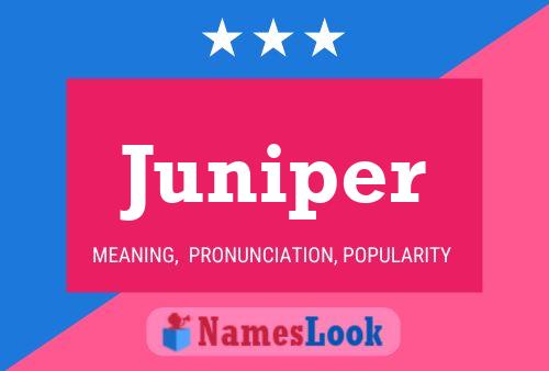 Póster del nombre Juniper