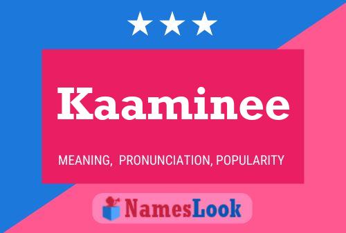 Póster del nombre Kaaminee