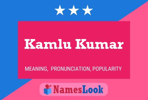 Póster del nombre Kamlu Kumar