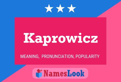 Póster del nombre Kaprowicz