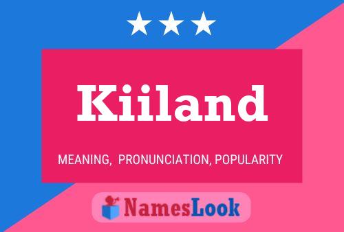 Póster del nombre Kiiland