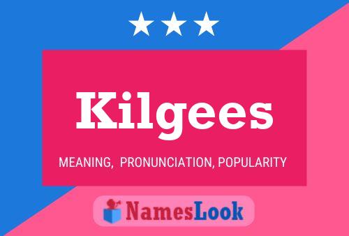 Póster del nombre Kilgees