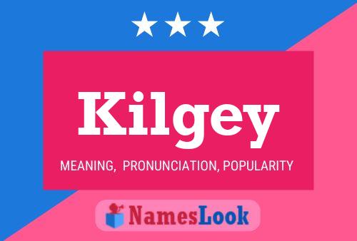 Póster del nombre Kilgey