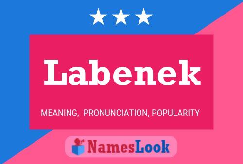 Póster del nombre Labenek