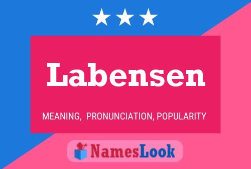 Póster del nombre Labensen