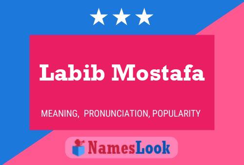 Póster del nombre Labib Mostafa