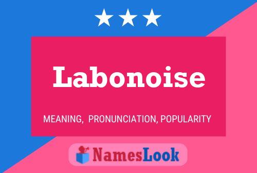 Póster del nombre Labonoise