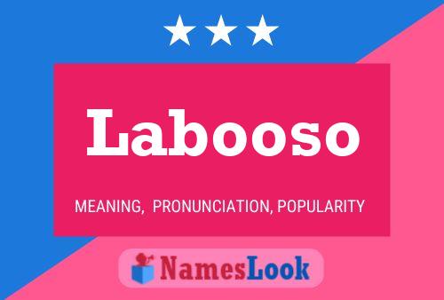 Póster del nombre Labooso