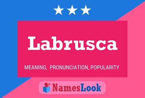 Póster del nombre Labrusca