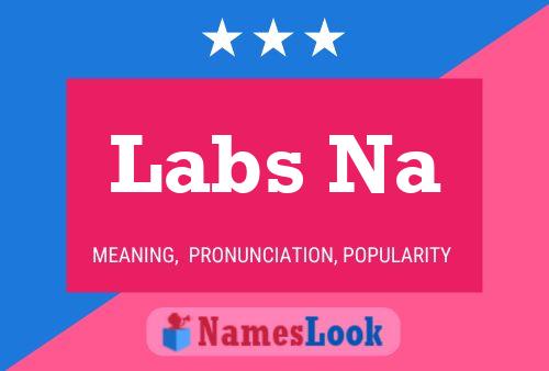 Póster del nombre Labs Na