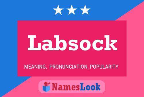 Póster del nombre Labsock