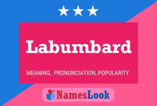 Póster del nombre Labumbard