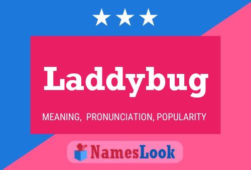 Póster del nombre Laddybug