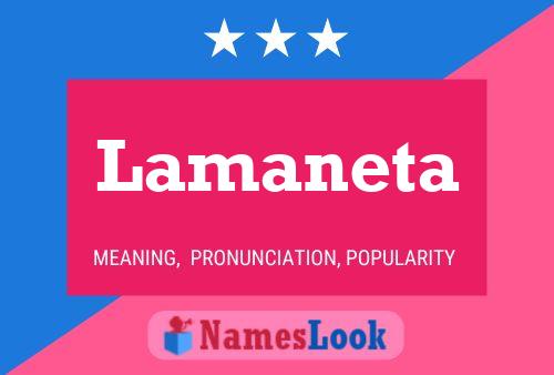 Póster del nombre Lamaneta