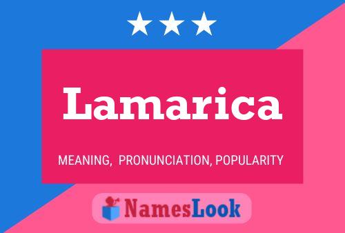 Póster del nombre Lamarica