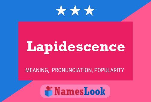 Póster del nombre Lapidescence