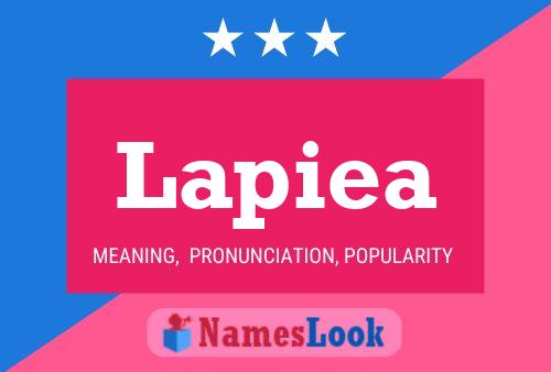 Póster del nombre Lapiea