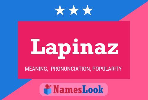 Póster del nombre Lapinaz