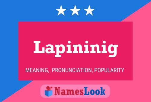 Póster del nombre Lapininig