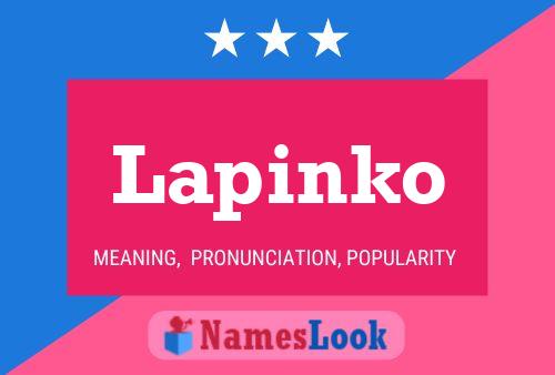 Póster del nombre Lapinko