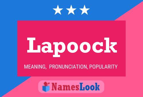 Póster del nombre Lapoock