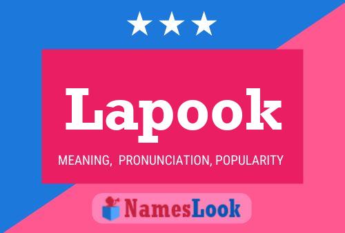 Póster del nombre Lapook