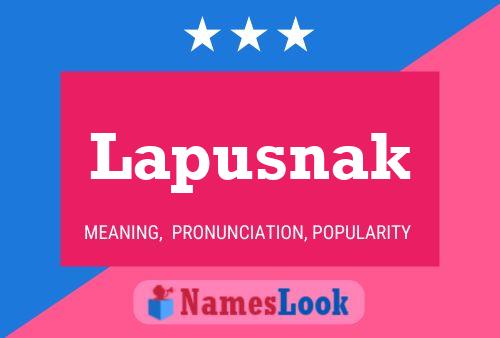 Póster del nombre Lapusnak