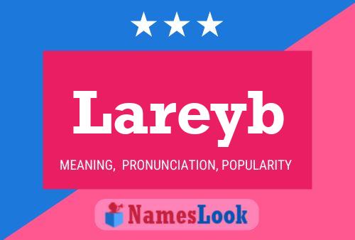 Póster del nombre Lareyb