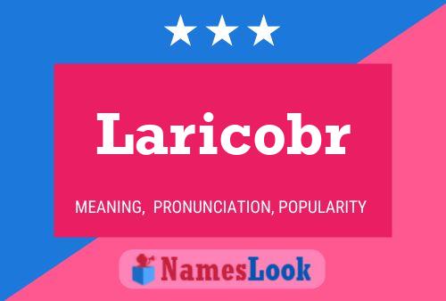 Póster del nombre Laricobr