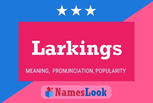 Póster del nombre Larkings