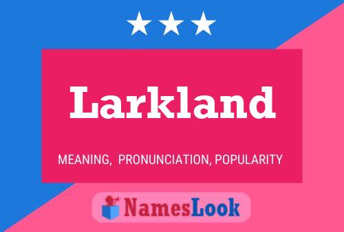 Póster del nombre Larkland