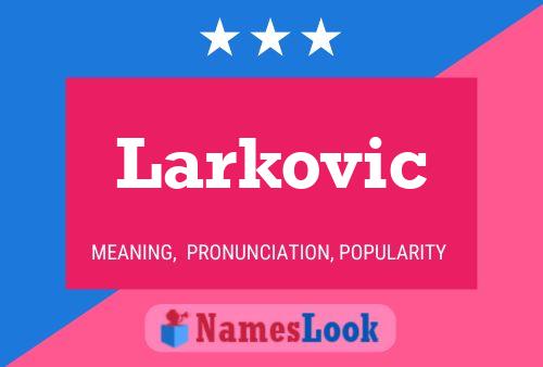 Póster del nombre Larkovic