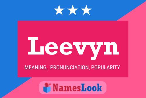 Póster del nombre Leevyn