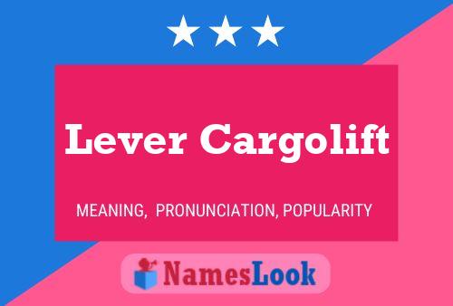 Póster del nombre Lever Cargolift