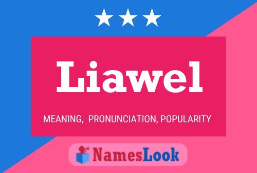 Póster del nombre Liawel