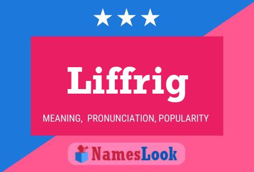 Póster del nombre Liffrig